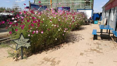 澄合分公司第十二項目部“花園式工地”贏贊譽