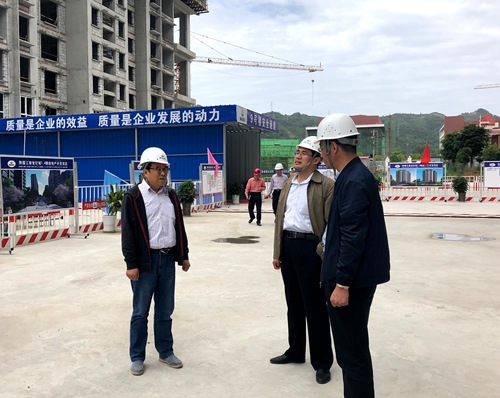 司正林深入大秦置業(yè)公司江南世紀(jì)城項(xiàng)目檢查指導(dǎo)安全工作