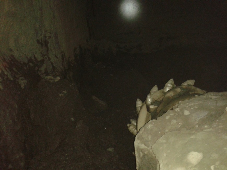 陜煤建設(shè)礦建三公司雙龍項(xiàng)目部108回風(fēng)順槽風(fēng)橋與西翼運(yùn)輸巷順利貫通