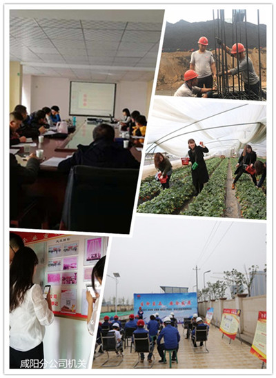 咸陽分公司多舉措促青年成長