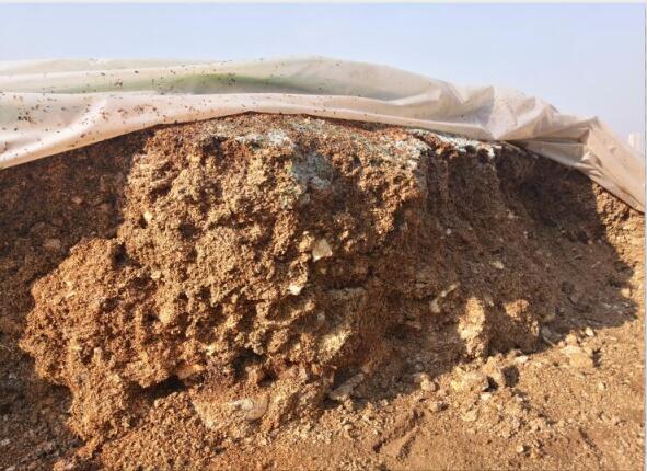 “廢料”變“肥料”,蘑菇包在土壤改良中的應(yīng)用