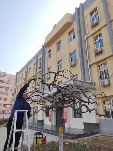 陜煤建設(shè)銅煤公司做好辦公區(qū)域的綠化創(chuàng)和諧溫馨企業(yè)環(huán)境