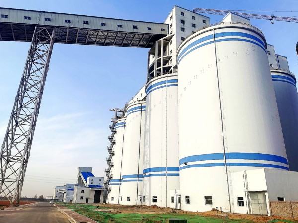 陜煤建設(shè)澄合分公司文明花開別樣紅