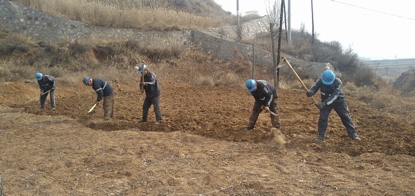 陜煤建設(shè)洗選煤運營公司左權(quán)洗煤廠項目部：春耕“小菜園”，播種幸福感