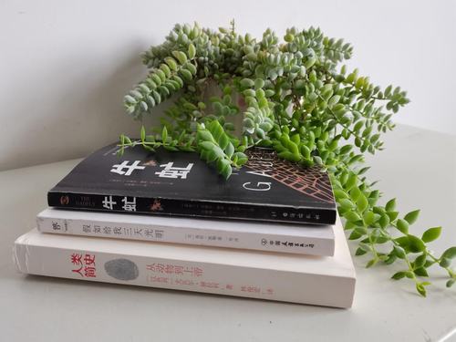 陜煤建設(shè)設(shè)計研究院開展“以書為伴 悅讀人生”讀書分享活動