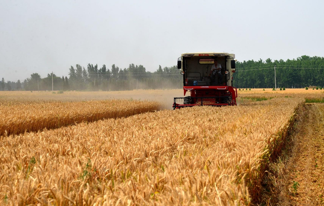 那條路  那片地