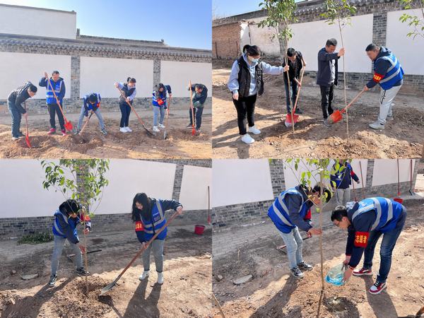 陜煤建設(shè)韓城分公司土建四項目部：栽種綠色希望，不負青春時光