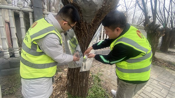 陜煤建設(shè)路橋分公司渭南項(xiàng)目部開(kāi)展“綠色修復(fù)，生態(tài)共贏”別樣植樹(shù)節(jié)活動(dòng)