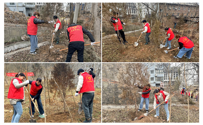 陜煤建設機電安裝公司：走，上春山，植樹去！