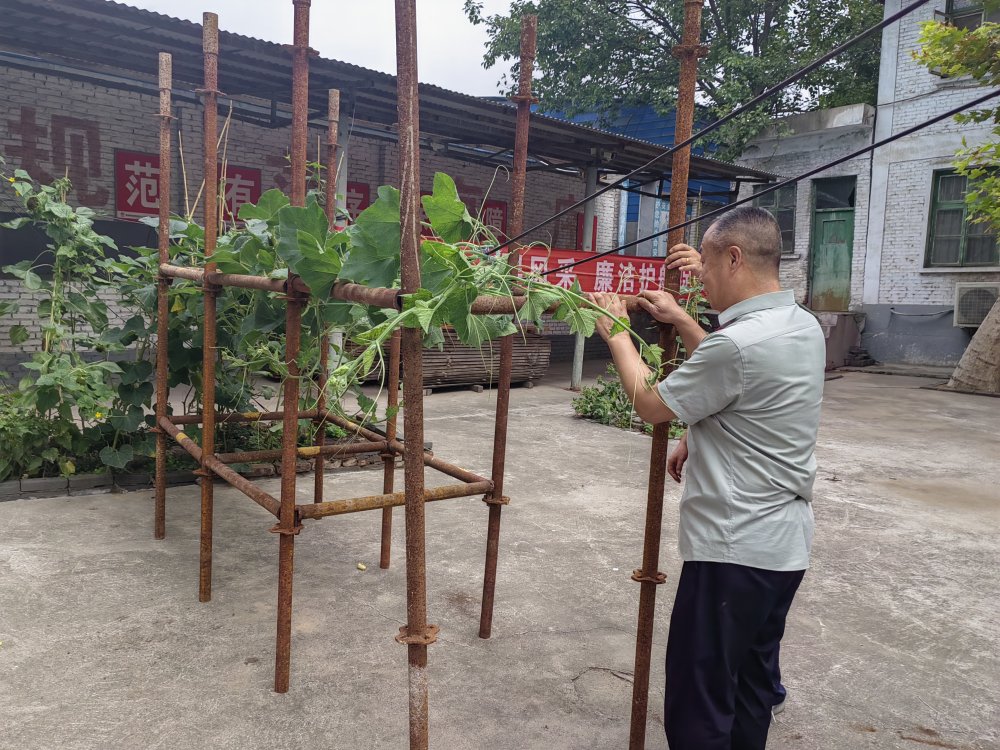 平凡堅守，織就的那些暖心緣