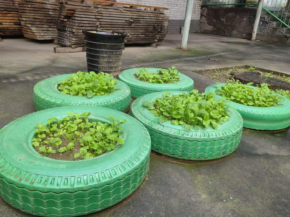 創(chuàng)意無休，廢舊輪胎也能C位出道