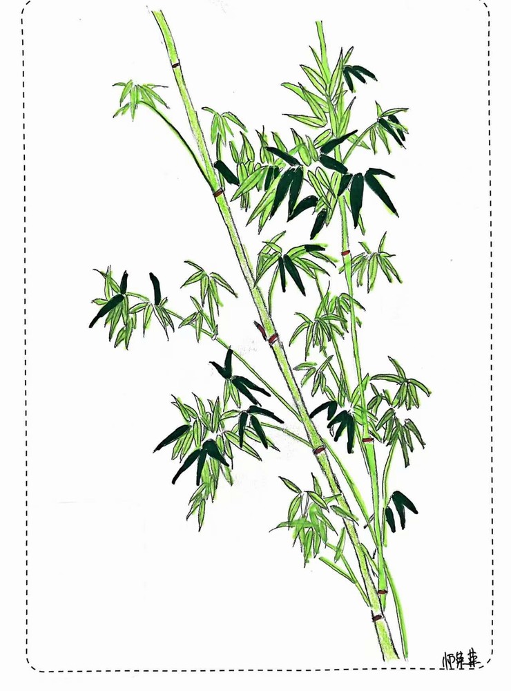 漫說廉潔！這組“草木廉盟”太可了